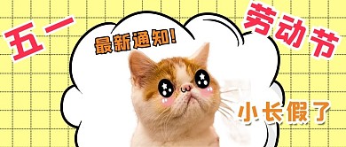 五一劳动节猫咪黄色简约公众号首图