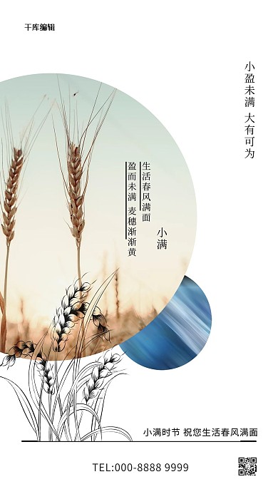 小满小麦白色写实海报