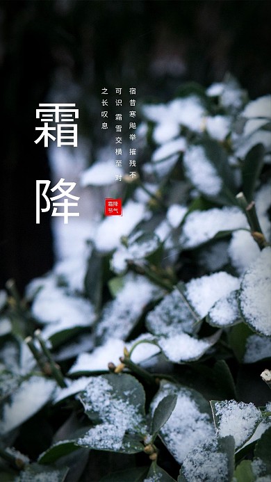 霜降叶子黑色创意海报