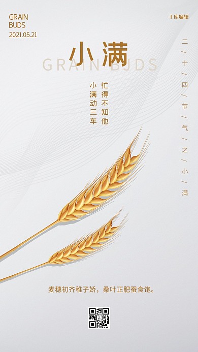 小满十四节气灰色简洁海报