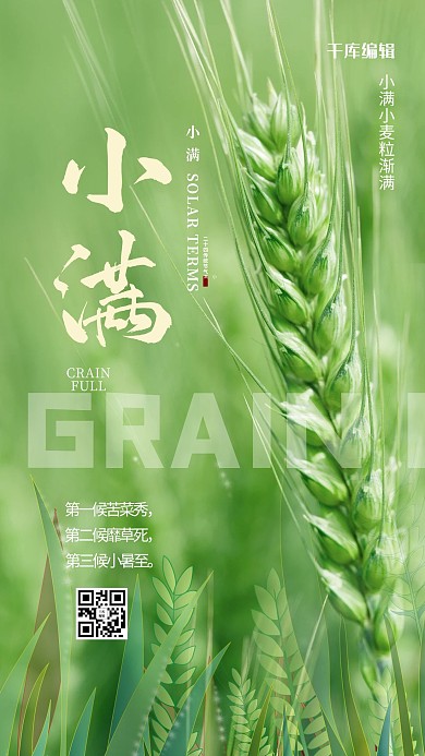小满麦穗绿色简约手机海报