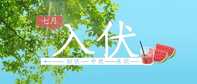 入伏树叶阳光蓝色写实公众号首图
