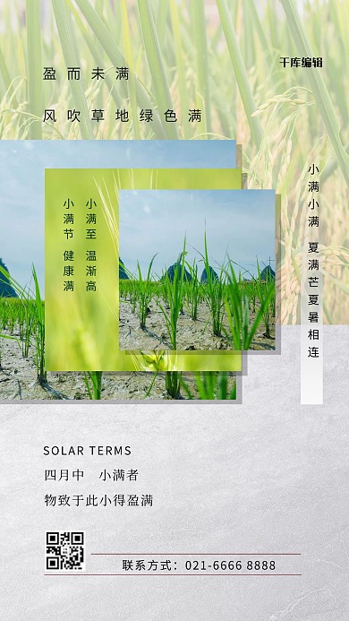 小满节气绿色简约海报