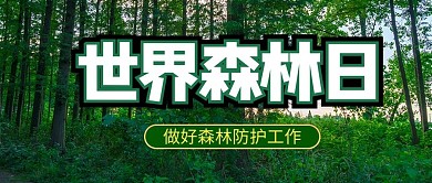 世界森林日森林绿色商务风公众号首图