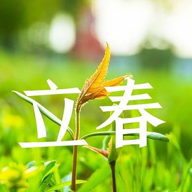 24节气立春绿色简约公众号次图