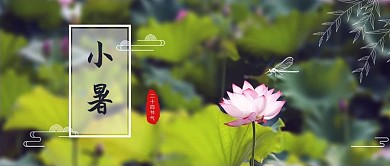 荷花池塘摄影图绿色中国风公众号首图