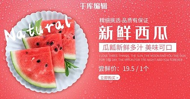 创意简约风格新鲜西瓜banner