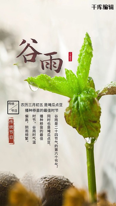谷雨二十四节气白色创意海报