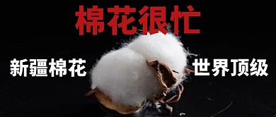 棉花很忙中国棉花黑色大气摄影图公众号首图