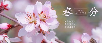 春分桃花粉色摄影图公众号首图