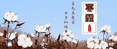 寒露棉花彩色插画公众号首图