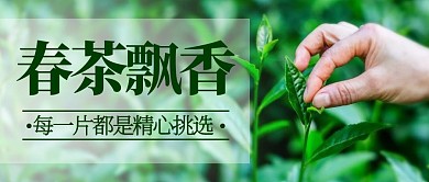 春茶飘香采茶绿色简约公众号首图