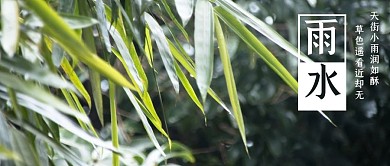 雨水竹叶绿色摄影公众号首图