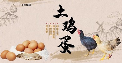 农家土鸡蛋生鲜电商横版banner