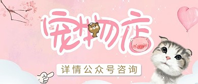 小清新宠物艺术公众号封面