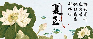 中国风夏至清新公众号封面