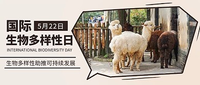 国际生物多样性日动物彩色简约公众号首图