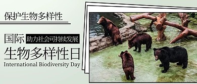 国际生物多样性日保护生物彩色扁平公众号首图