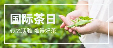 国际茶日绿色茶叶绿色简约公众号首图