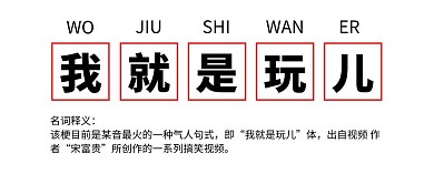 我就是玩儿网络用词白色简约公众号首图