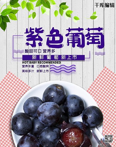 新鲜水果紫色葡萄灰色简约清新banner