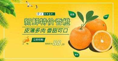 新鲜特价香橙橙子橙色简约电商海报banner