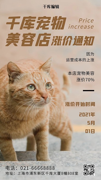 宠物美容店涨价通知猫猫彩色摄影风手机海报