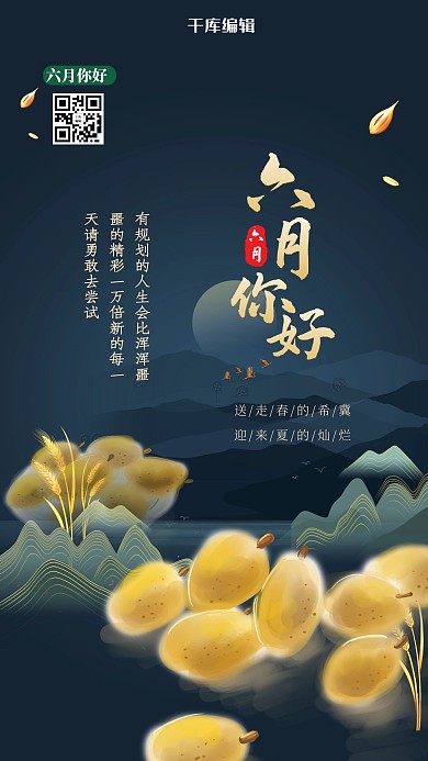 6月你好琵琶蓝色简约海报
