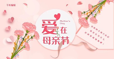 爱在母亲节康乃馨简约淘宝banner