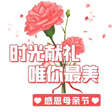 感恩母亲节粉红简约公众号次图