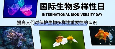 国际生物多样性日保护生物彩色扁平公众号首图