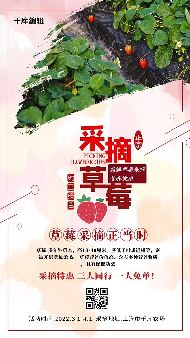 游玩草莓采摘粉色创意海报