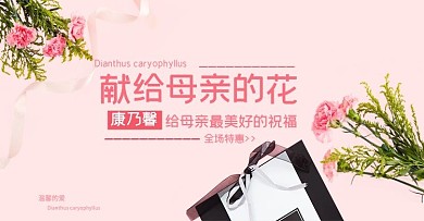 母亲节康乃馨促销粉色简约电商banner