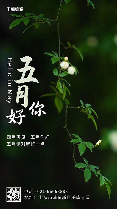 你好五月植物绿色摄影风手机海报