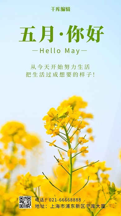 你好5月户外油菜花黄色摄影风手机海报