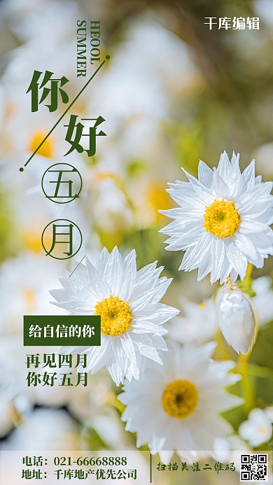 你好五月雏菊绿色摄影图手机海报