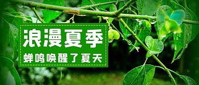 浪漫夏季浪漫夏季绿色渐变公众号首图