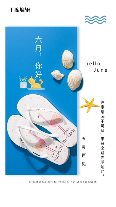 六月你好贝壳拖鞋海星蓝色摄影图