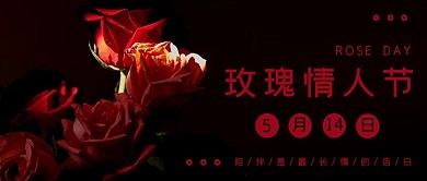 玫瑰情人节黑色摄影图公众号首图