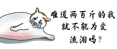 爱情流泪白色搞笑公众号首图