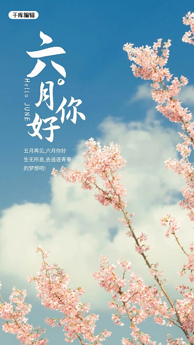 你好6月花蓝色简约手机海报