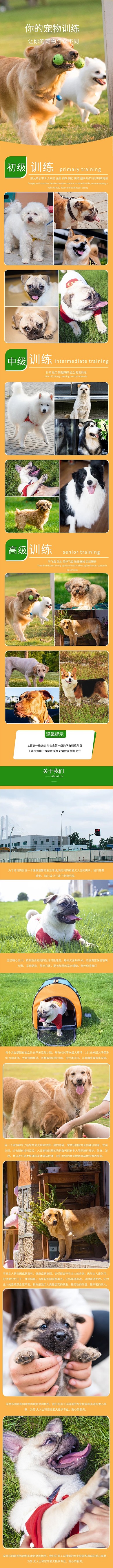 宠物用品狗粮电商详情页
