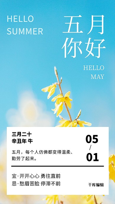 你好五月黄色花卉彩色摄影风手机海报