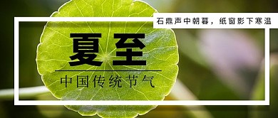 夏至传统节气小清新摄影图公众号首图