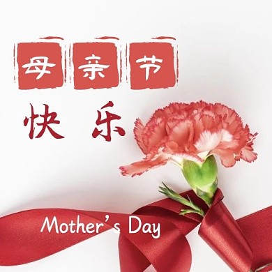 母亲节快乐康乃馨红色写实公众号次图