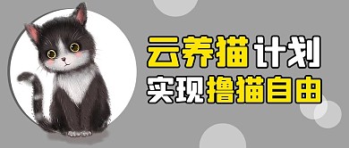 卡通可爱风撸猫灰色简约公众号首图