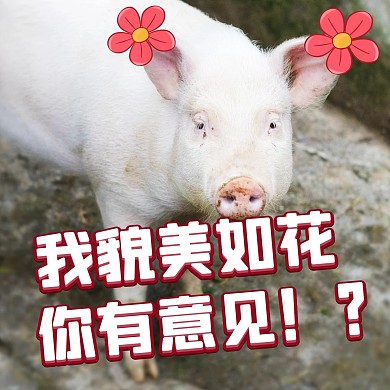 我貌美如花你有意见彩色卡通表情包