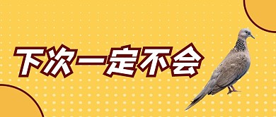 下次一定不会鸽黄色网红热词公众号首图