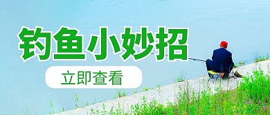 钓鱼钓鱼培训绿色摄影写实公众