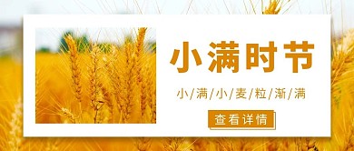 小满麦田小麦色简约公众号首图